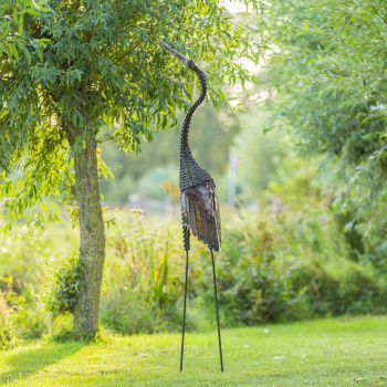 Kroonkraanvogel